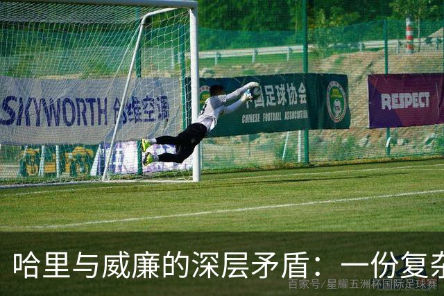 哈里与威廉的深层矛盾：一份复杂的兄弟情结与追寻